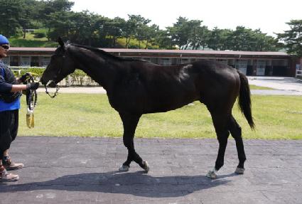 û�� ����