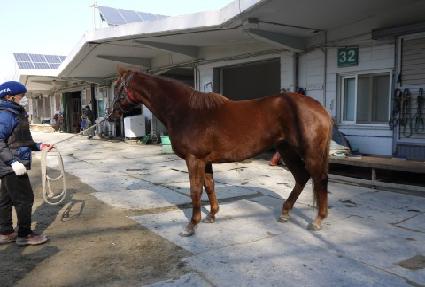 ��ŸȦ�� ����