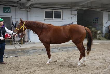 ����Ƽ ����