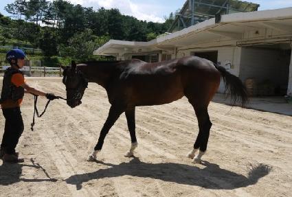 ��Ÿ��õ ����