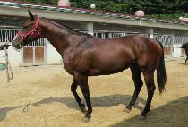 ���۴빰 (SUPER DAEMUL) ����