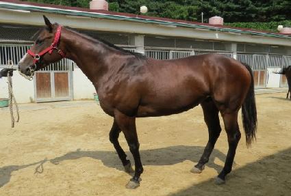 ���۴빰 ����