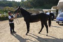 ����Ʈ�� (GAMUN TRICK) ����