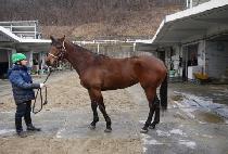 ��Ʋ������ (LITTLE ANGELS) ����