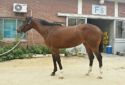 ���ٳ��� ����