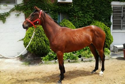 ��ǳ�ŷ� ����