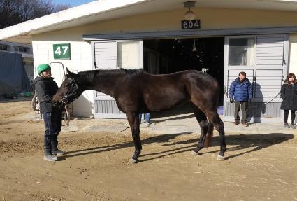 ����Ÿ�� ����