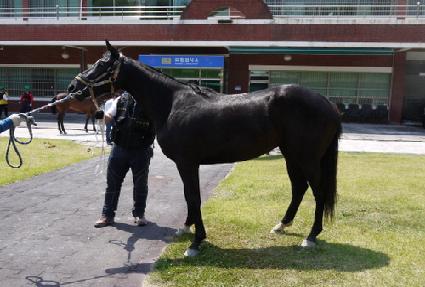 ������ ����