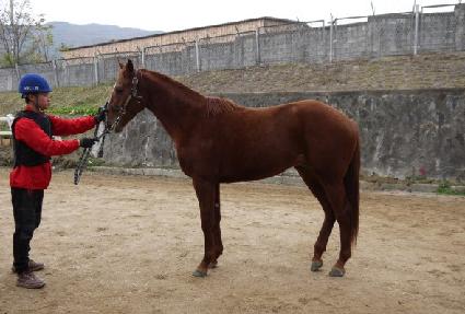 Ǯ�ɸ� ����