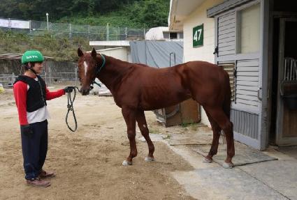 ī�� ����