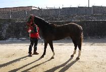 �ȹ̰� (PICK ME GIRL) ����