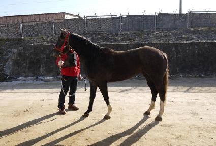 �ȹ̰� ����