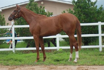 ���� ����