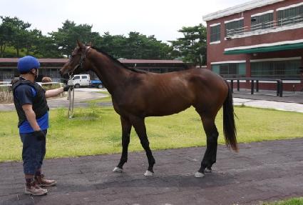 ���հ� ����