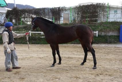 �ش��� ����