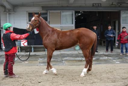 ź������ ����