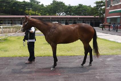 ����è�Ǿ� ����