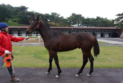 ŷ��Ű ����