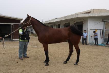 �ο���Ÿ ����