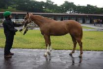 ������ (JEONGAN QUEEN) ����