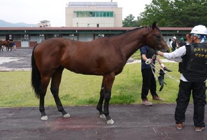 �뽺ī�� ����