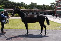 Ʈ���ÿ��� (Triple X) ����