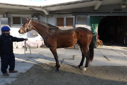 �Ŀ����� ����