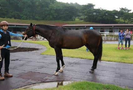 ��è�Ǿ� ����