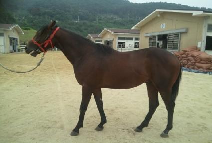 ������� ����