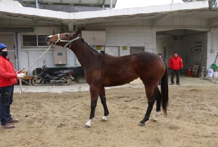 �޷������Ȧ ����