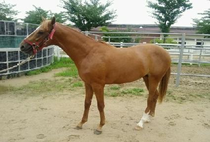 õ�� ����