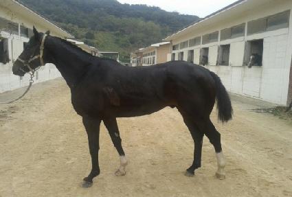 ������ ����