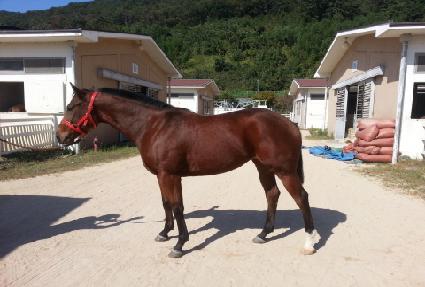 �ؿ���� ����