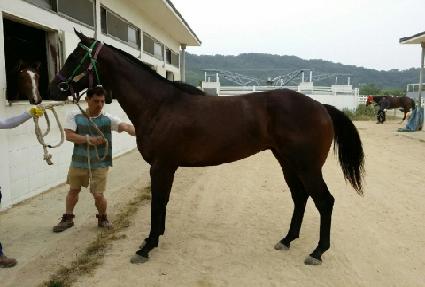 ¡�˴ٸ� ����