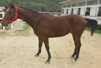 �ǽ����� ����