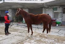 �Ƹ���ȣ�� (ARGO HOPE) ����