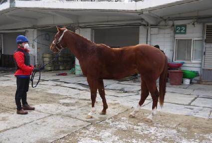 �Ƹ���ȣ�� ����