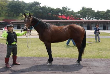 ���� ����