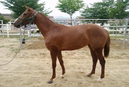 ���è�� ����