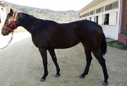 �̸������� ����