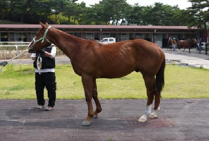 ����ǳ ����