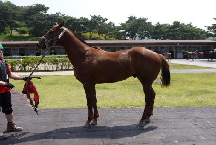 �ִ���� ����