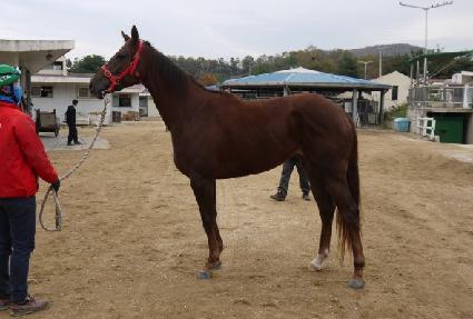 Ŭ���̽� ����