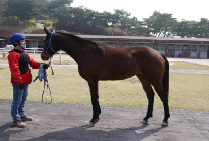 ��ȣ ����