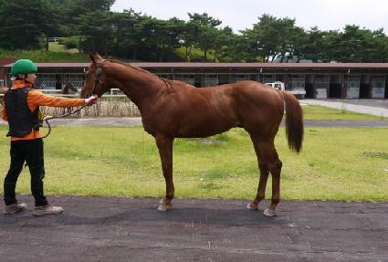 ���¹�ũ ����