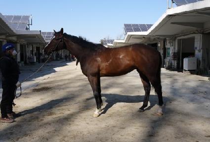 �ŵ��Ŀ� ����