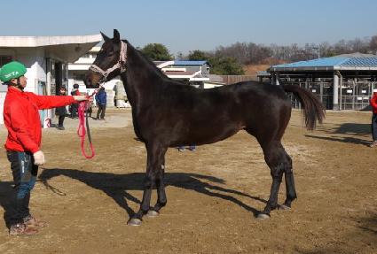 ����ǿ��� ����