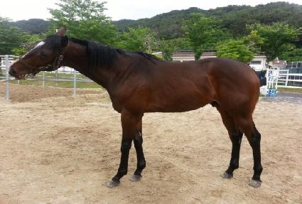 ����ǳ ����