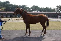 �������� (YUKJIBIHAENG) ����