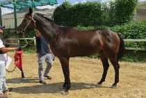 ������Ʈ�� (SEONGSIN PARTNER) ����